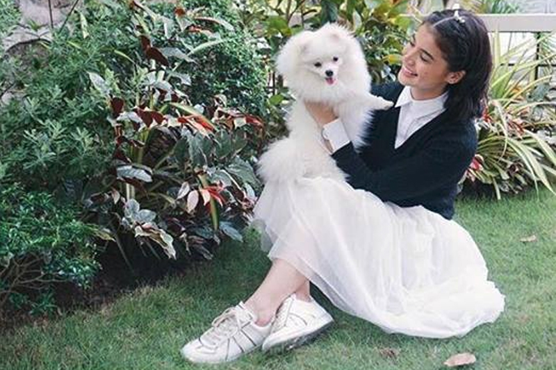 19 signs that show Anne Curtis is now a K-drama Addict