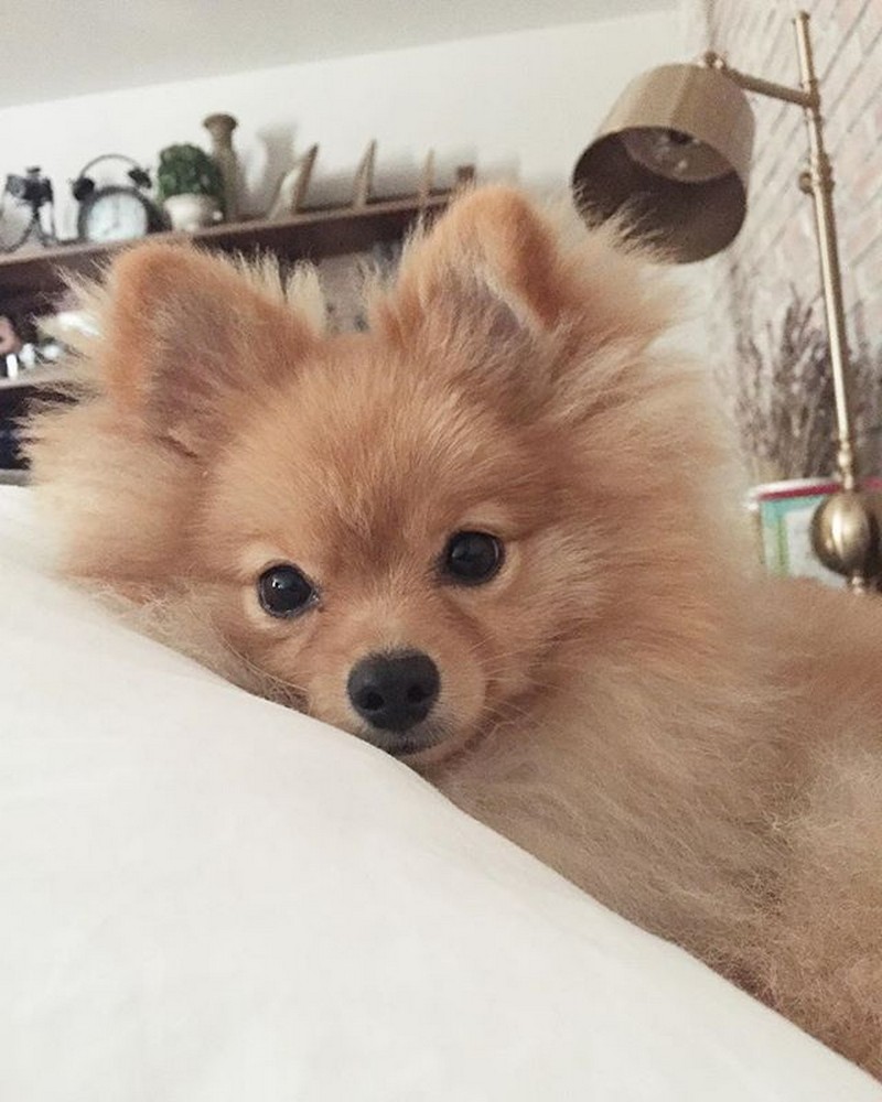 In Photo Meet Anne Curtis Extended Family Abs Cbn Entertainment In Photo Meet Anne Curtis Extended Family Abs Cbn Entertainment