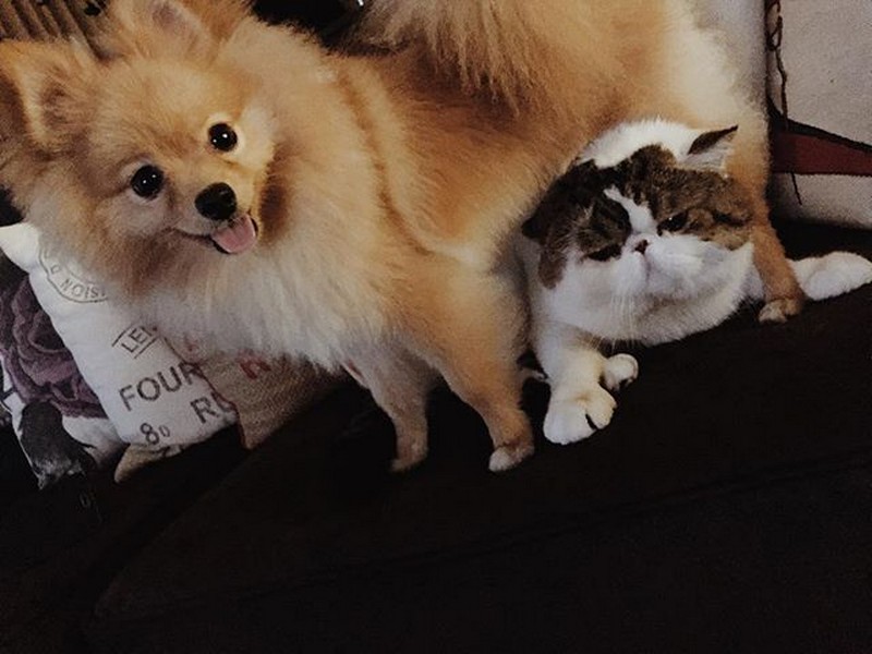 In Photo Meet Anne Curtis Extended Family Abs Cbn Entertainment In Photo Meet Anne Curtis Extended Family Abs Cbn Entertainment