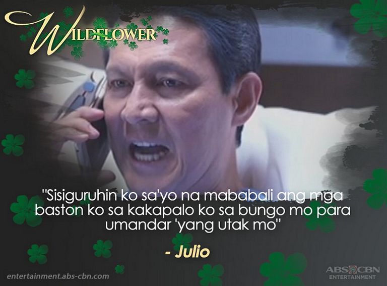 Mga linyang tumatak sa Wildflower